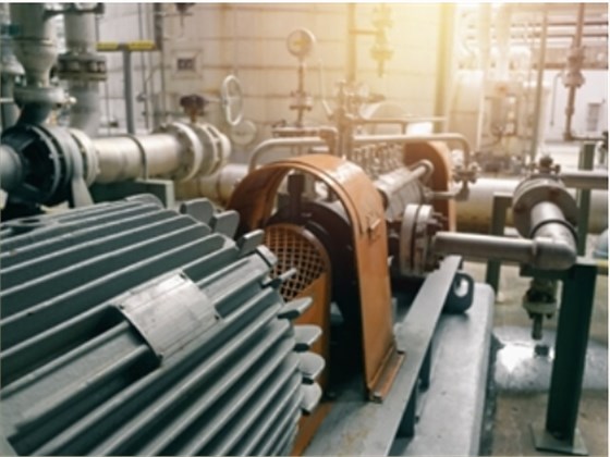 頂頂頂頂 頂頂頂頂